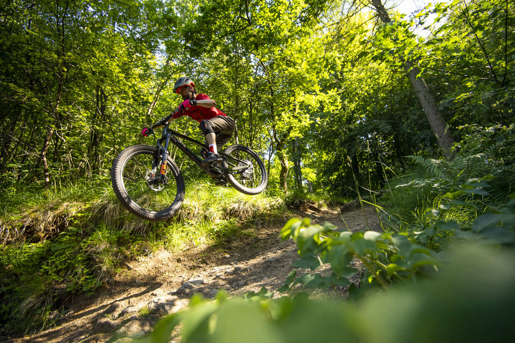 Dalby Forest Visitor Centre Car Park