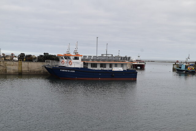 Golden Gate Farne Islands