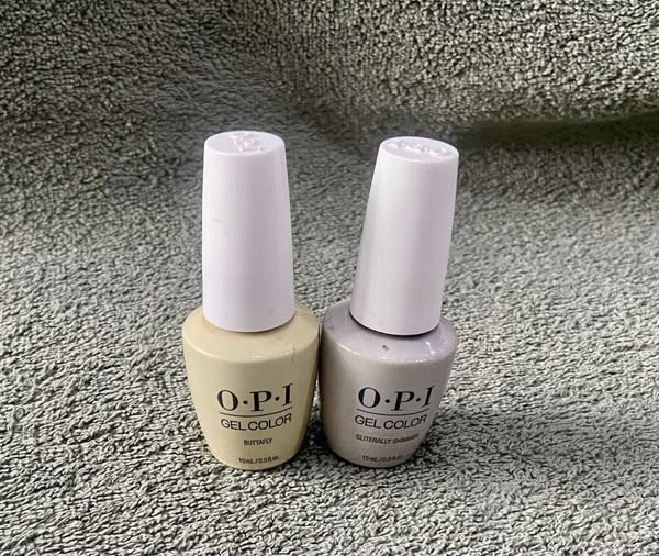 Orchid Beauty of Brecon