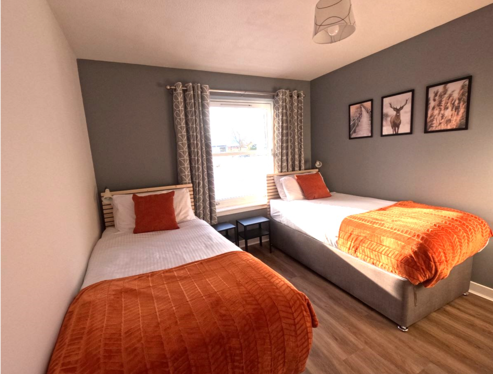 Orange Squirrel Lodge