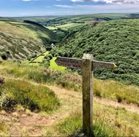 The Ramblers Rest Tea Rooms