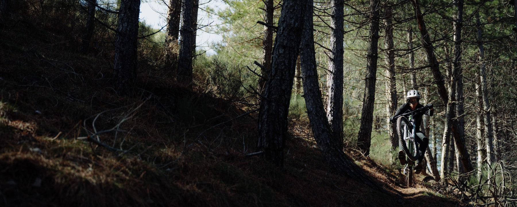 Grizedale Biketreks