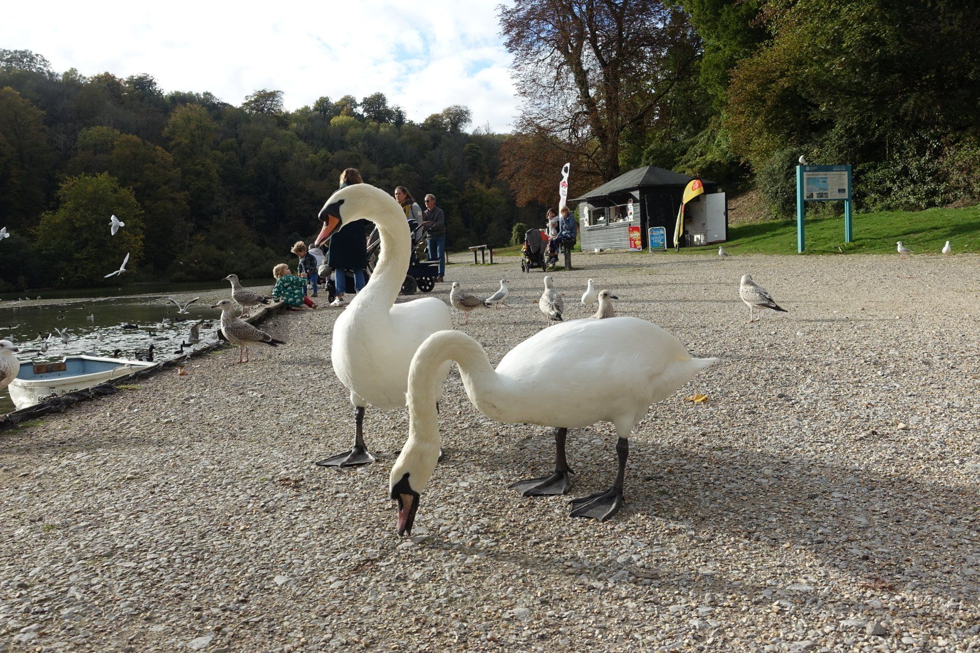 Swanbourne Lodge Tearoom