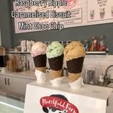 Folly Farm Leisure LTD