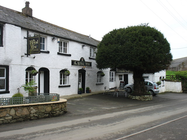 The Royal Yew