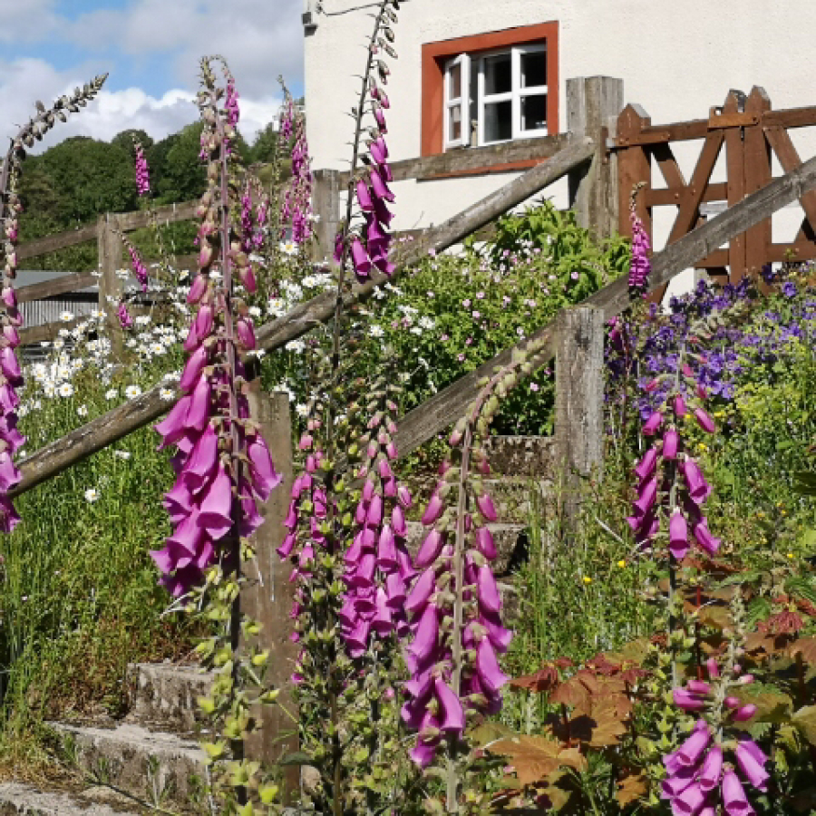 Bleng Barn Cottage