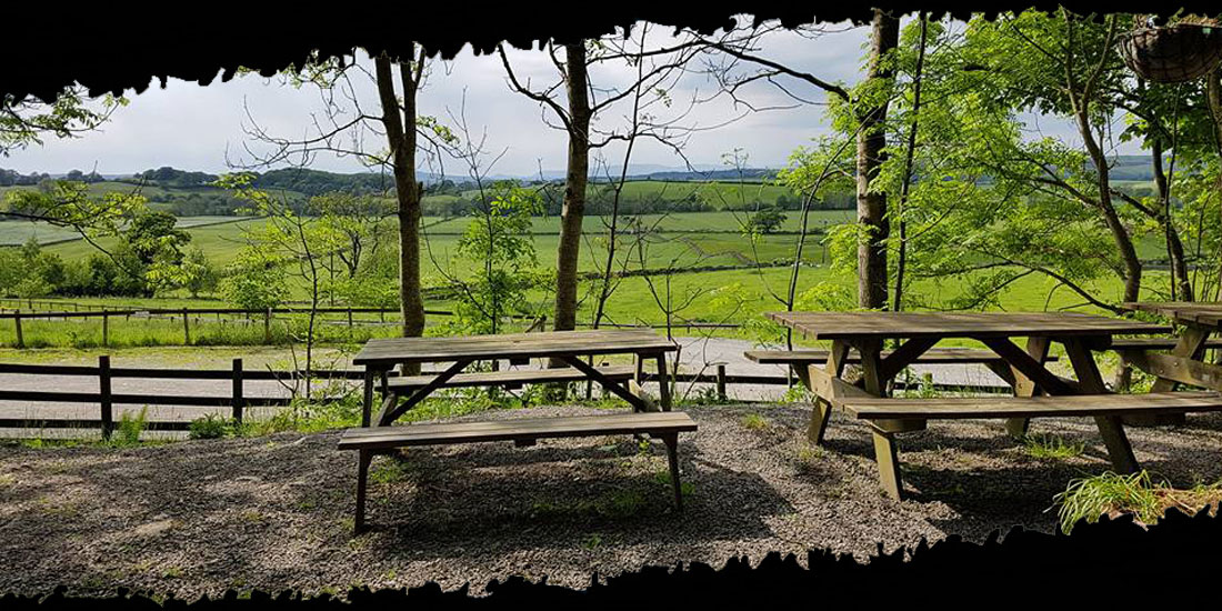 The Outdoor Adventure Company