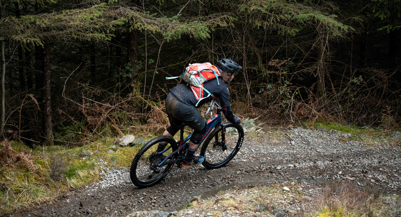 Go Ape Grizedale (Treetop Challenge, Zip Trek, Segways, High Ropes)