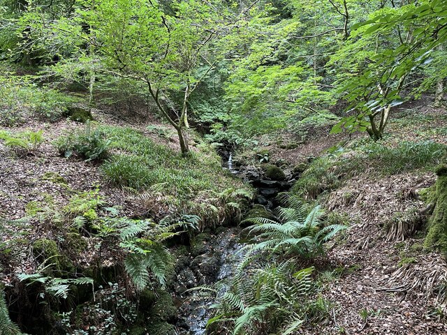 Stagshaw Gardens