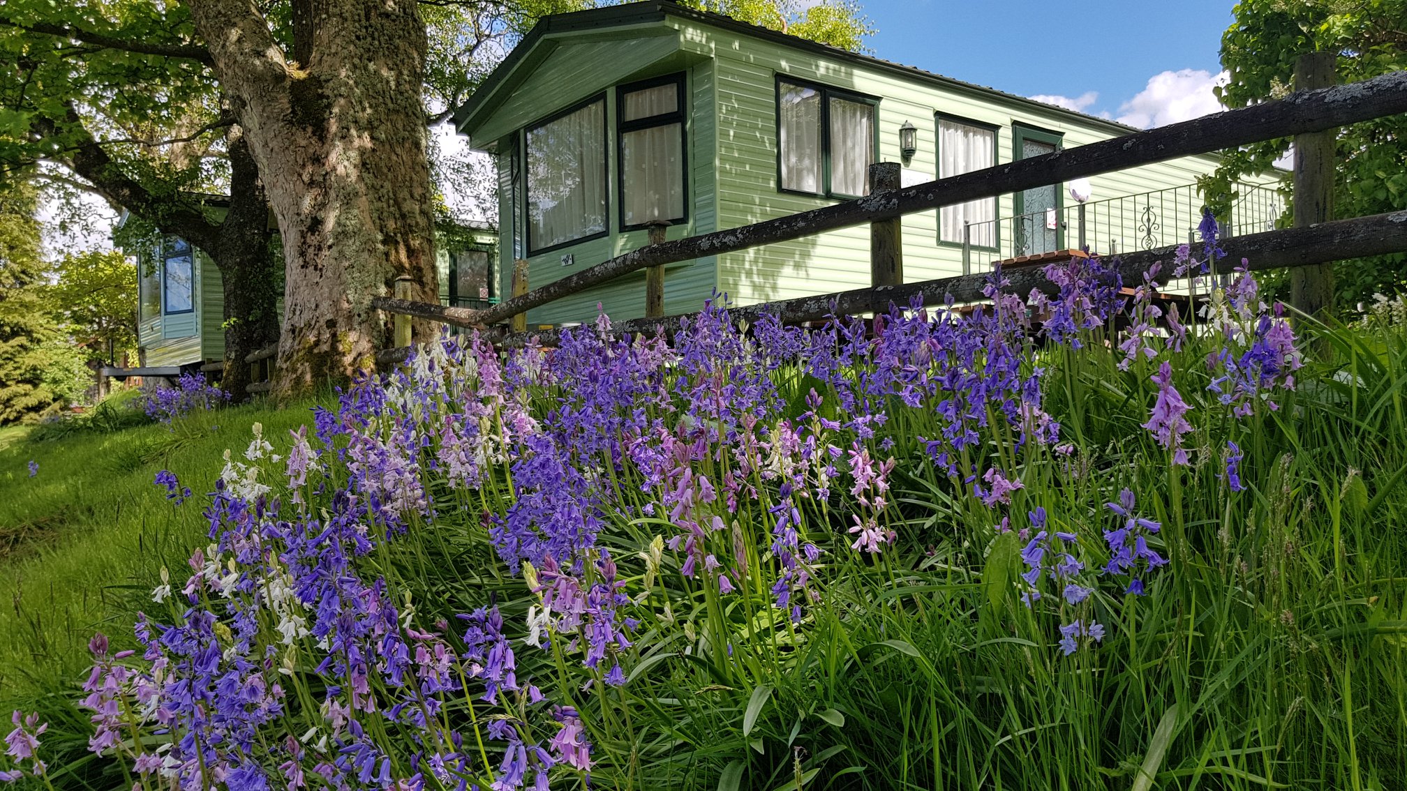 Castlerigg Hall Caravan - Camping - Glamping Park