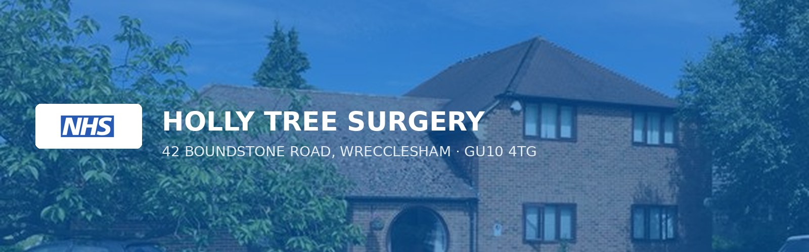 HOLLY TREE SURGERY