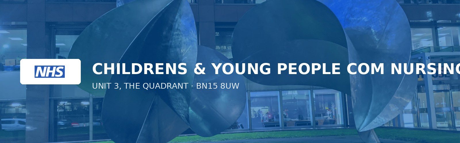 CHILDRENS & YOUNG PEOPLE COM NURSING