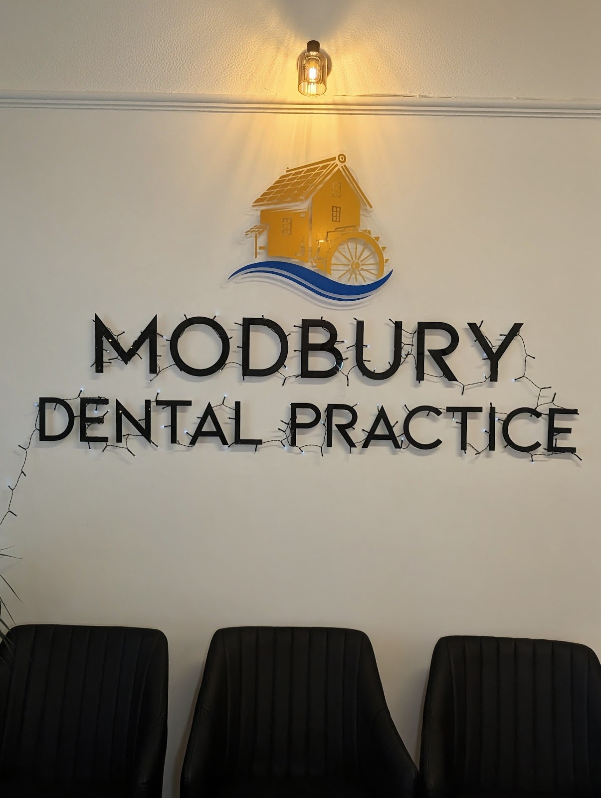 THE DENTAL PRACTICE
