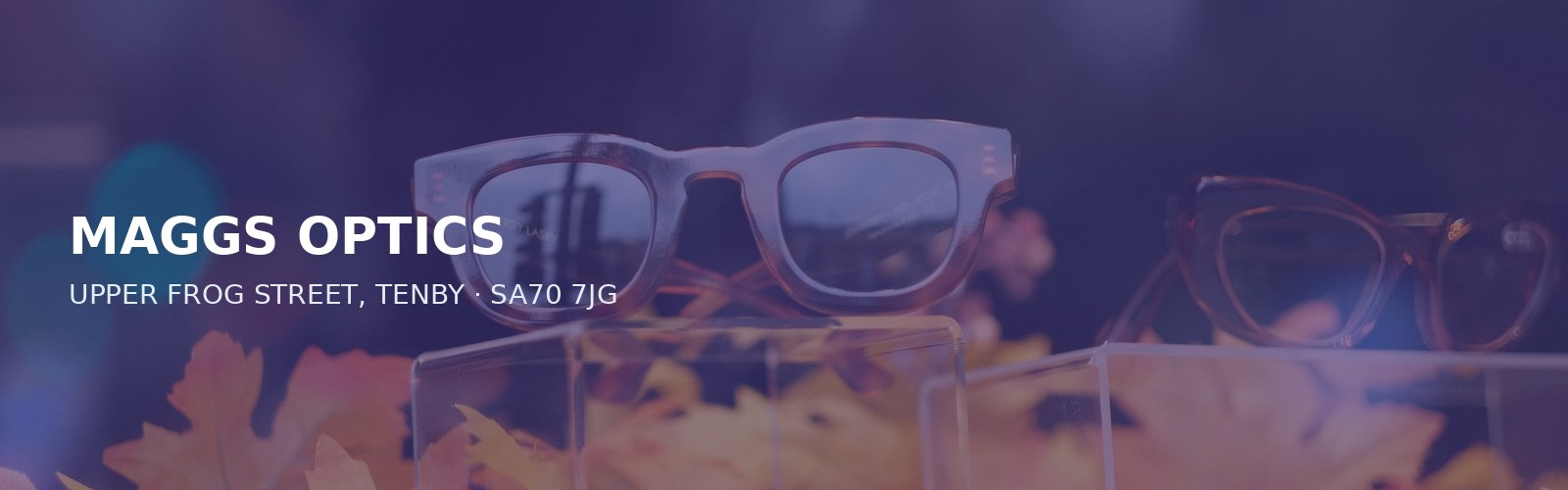 MAGGS OPTICS
