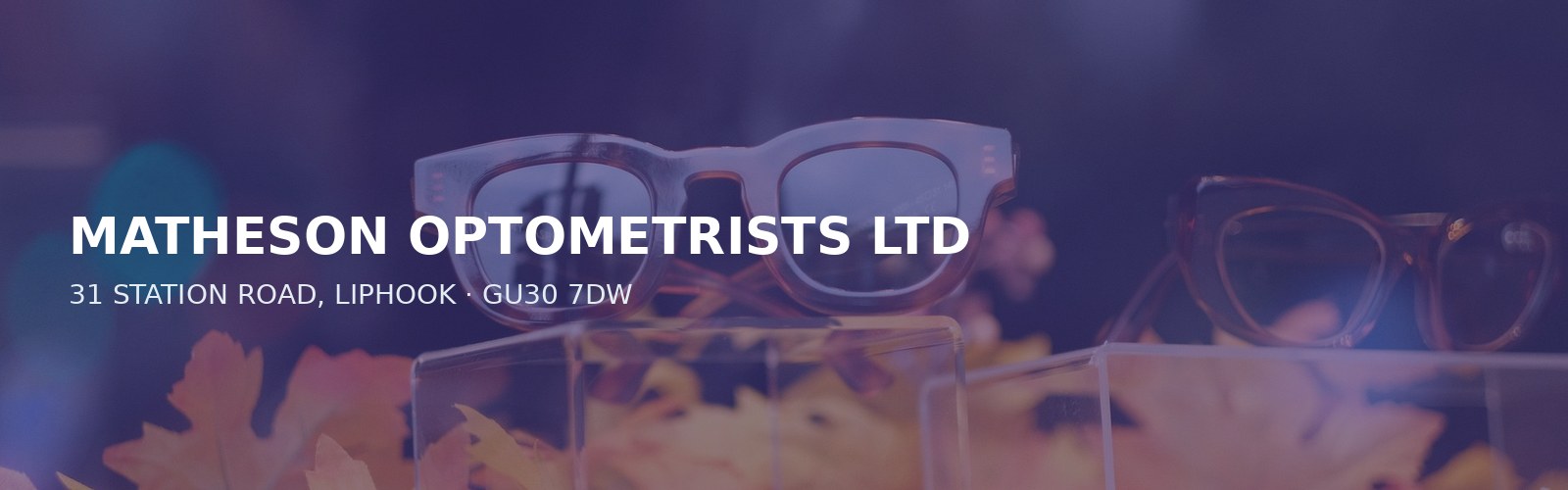 MATHESON OPTOMETRISTS LTD