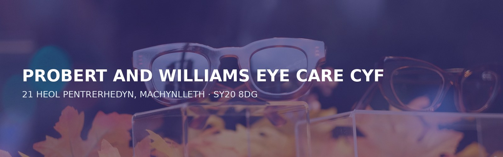 PROBERT AND WILLIAMS EYE CARE CYF