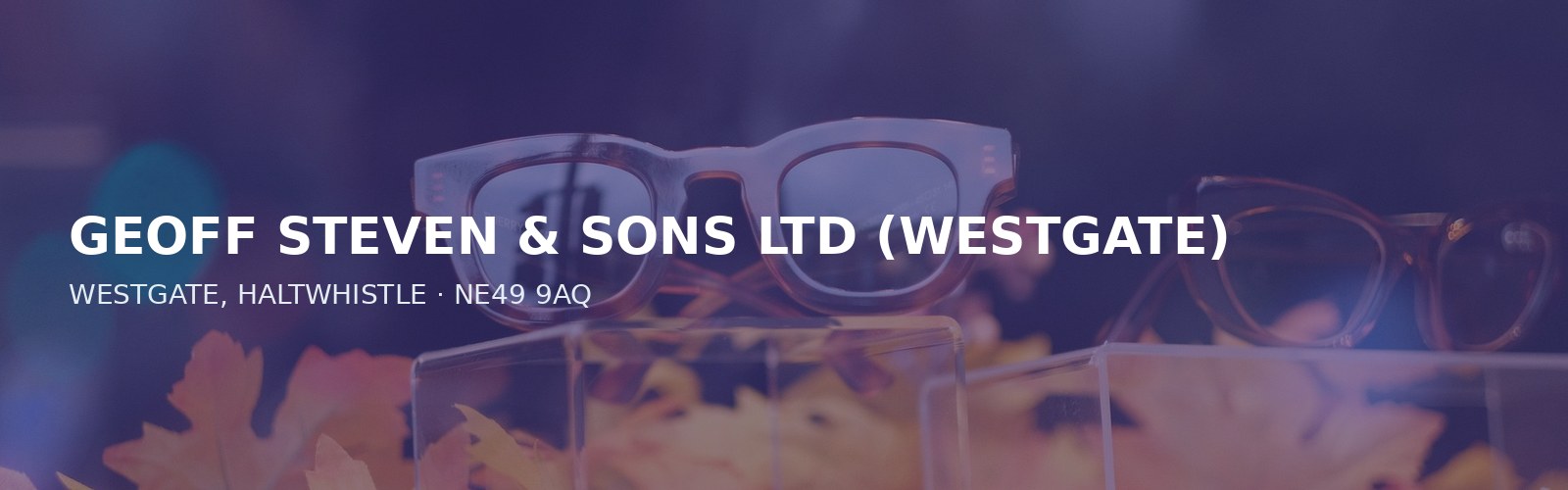 GEOFF STEVEN & SONS LTD (WESTGATE)