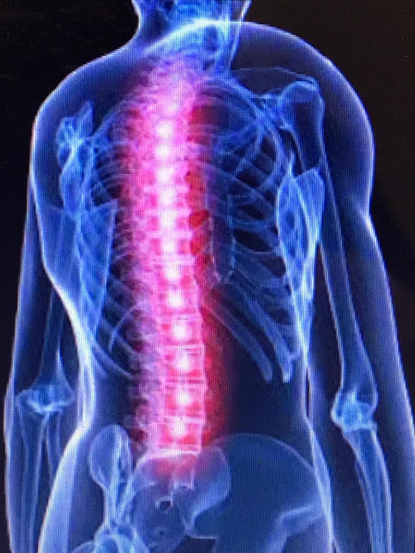 Back 2 Back Chiropractic Clinic