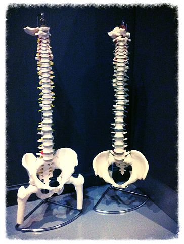 Spine Align Chiropractic