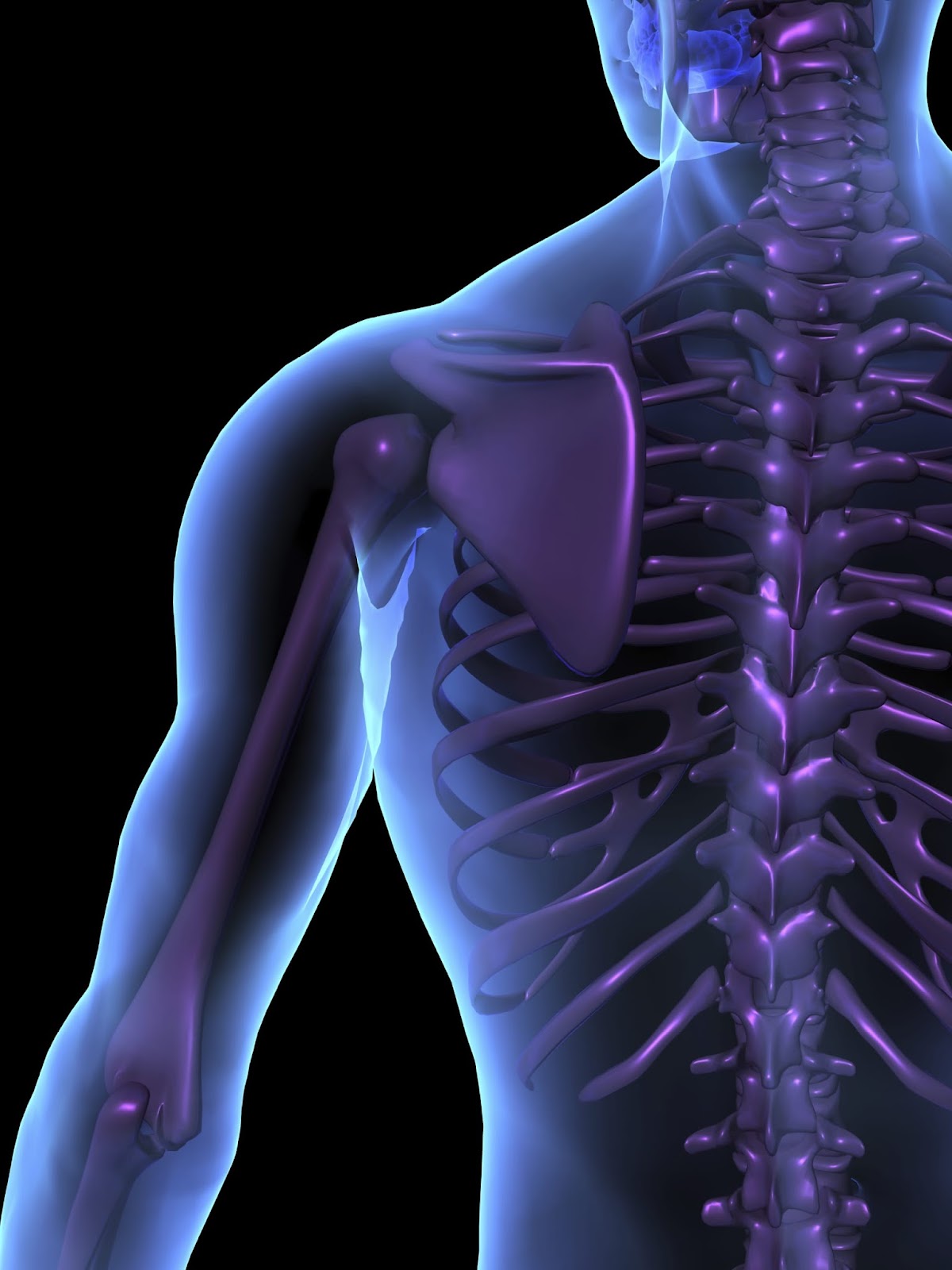 Jarrow Chiropractic
