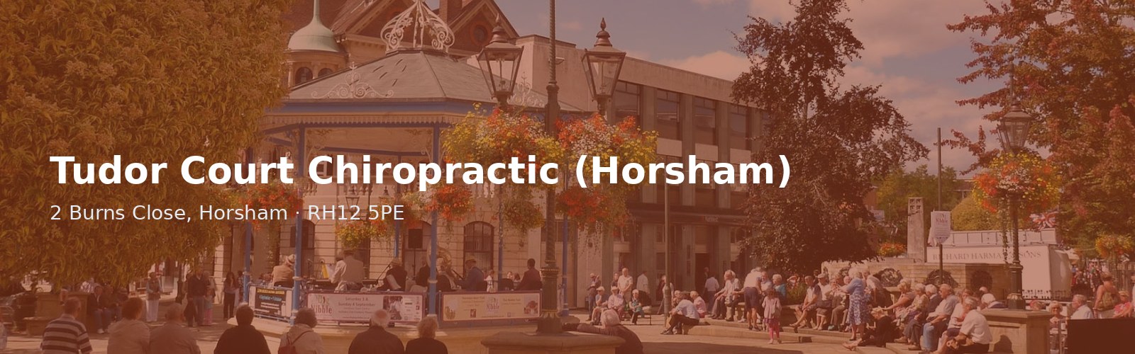 Tudor Court Chiropractic