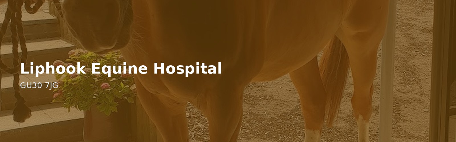 Liphook Equine Hospital