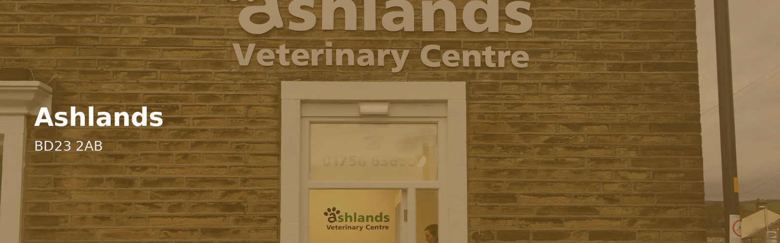 Ashlands
