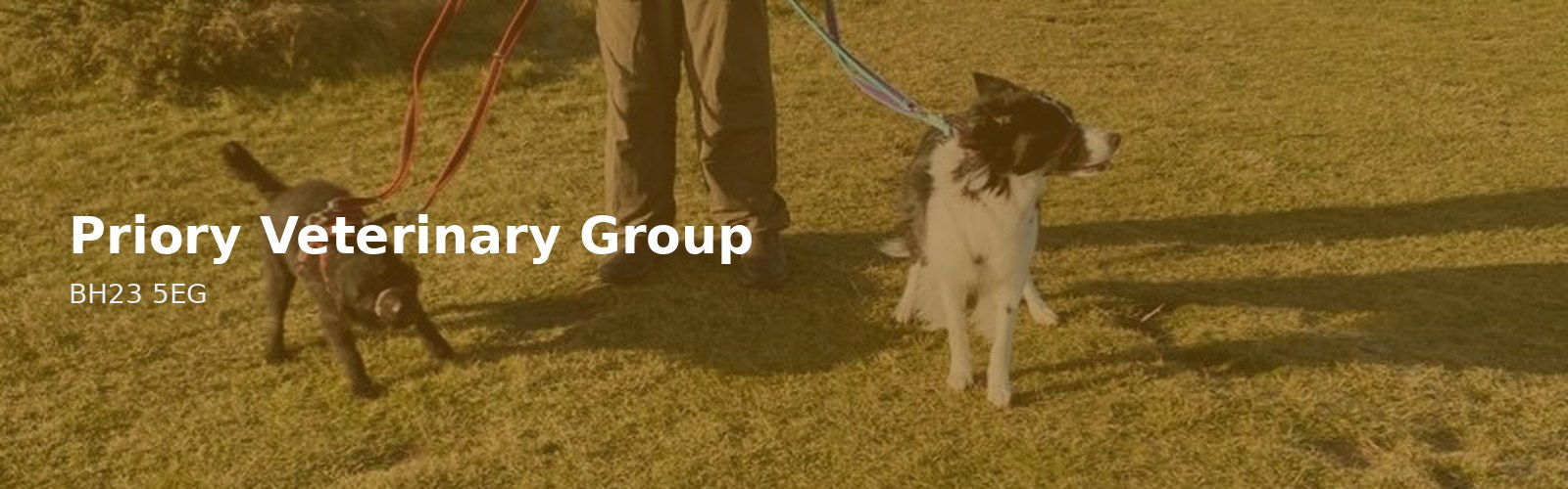 Priory Veterinary Group