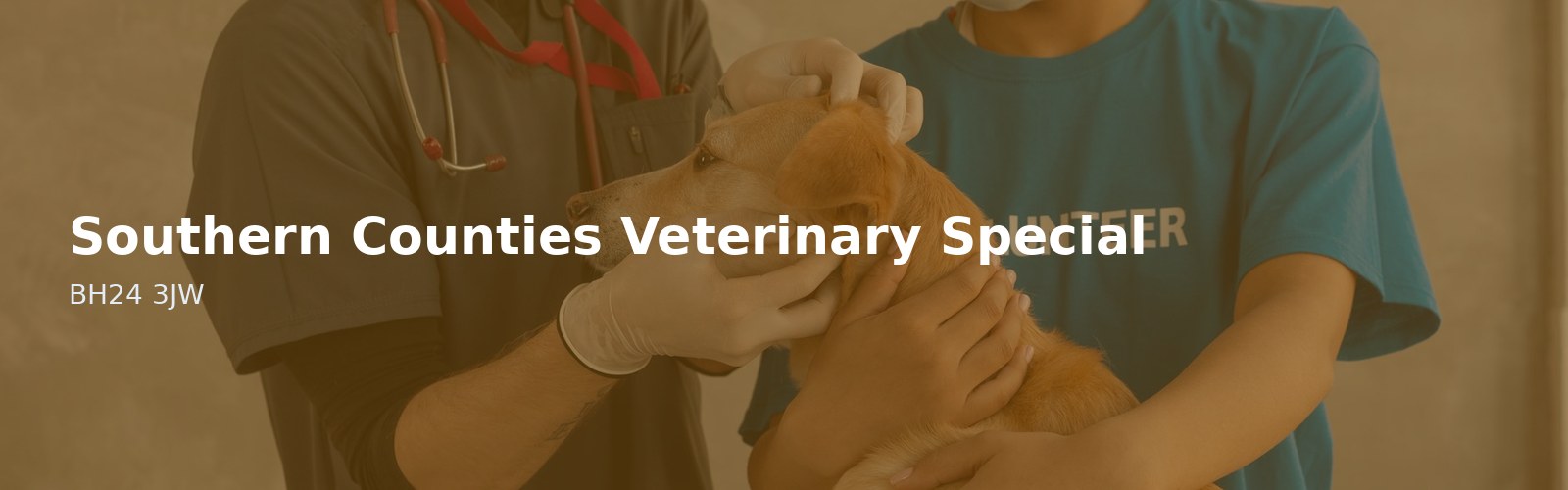 Southern Counties Veterinary Specialists LLP