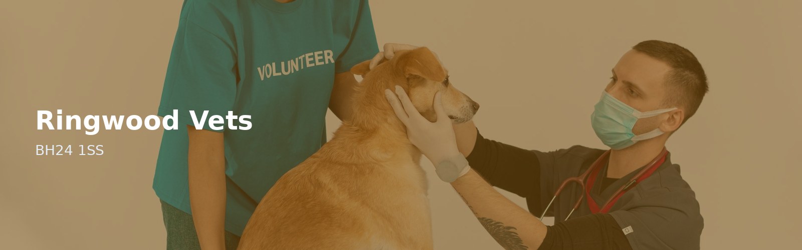 Ringwood Vets