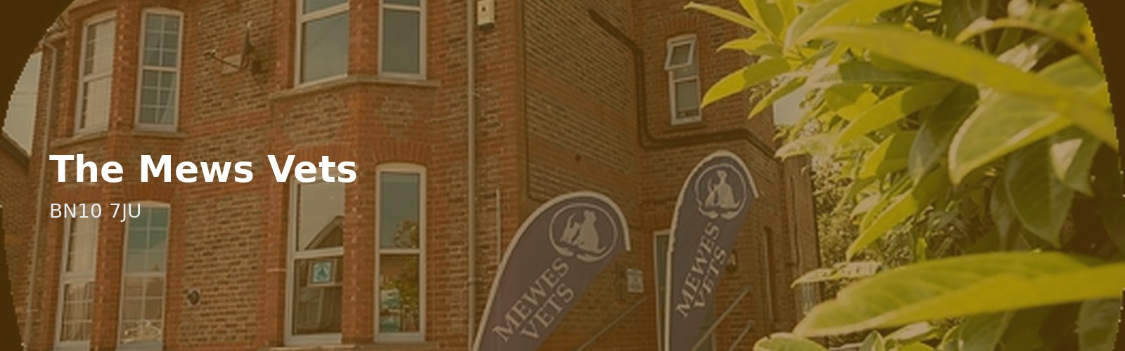 The Mews Vets