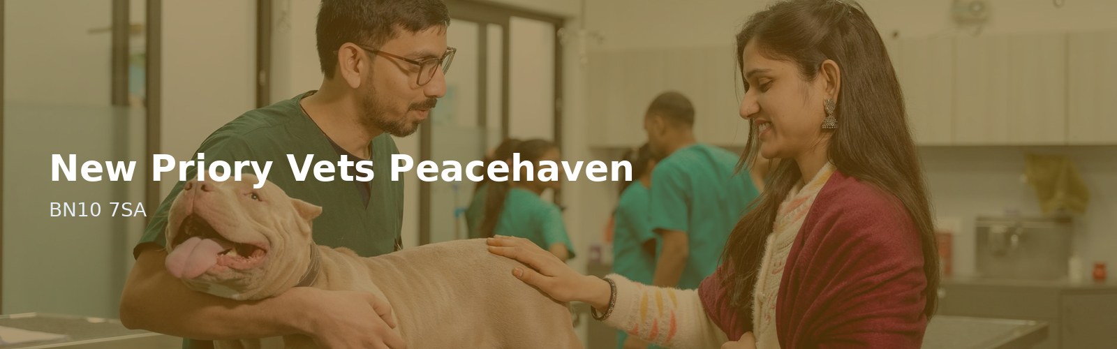 New Priory Vets Peacehaven
