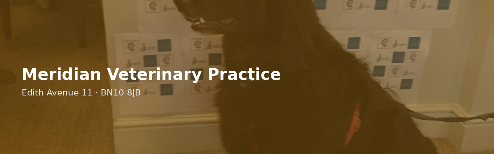 Meridian Veterinary Practice