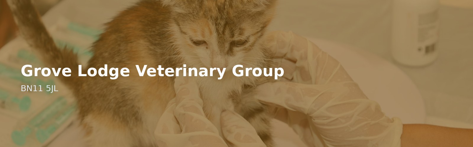 Grove Lodge Veterinary Group