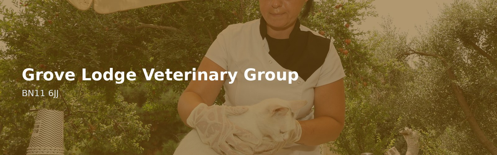 Grove Lodge Veterinary Group