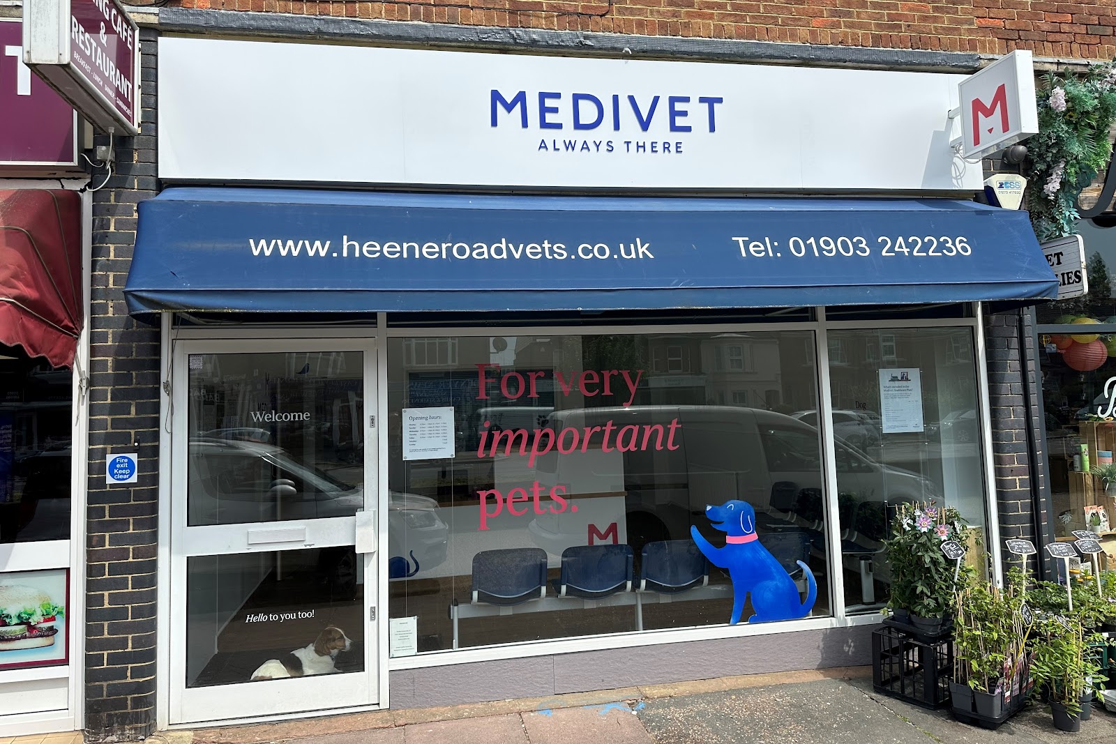 Medivet