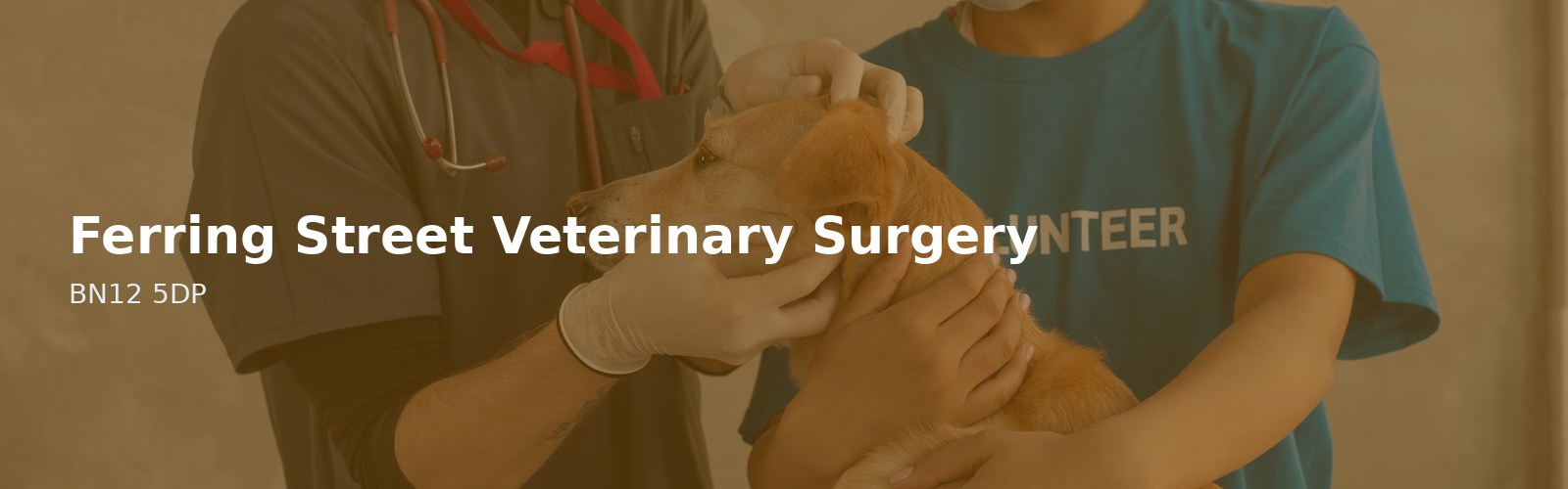 Ferring Street Veterinary Surgery