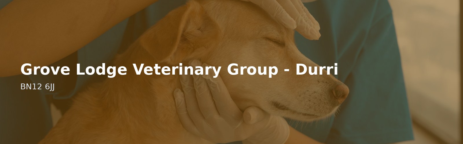 Grove Lodge Veterinary Group - Durrington