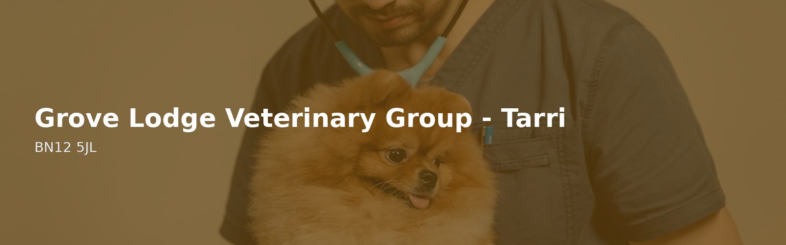 Grove Lodge Veterinary Group - Tarring