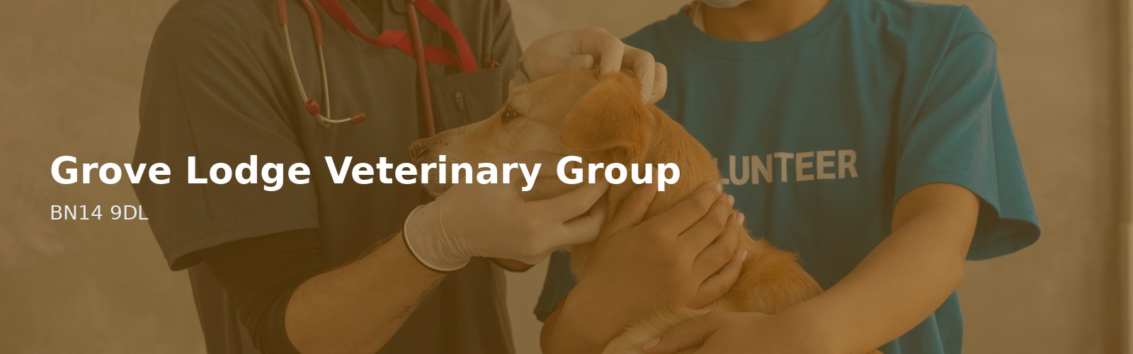 Grove Lodge Veterinary Group