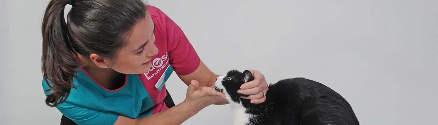 PDSA