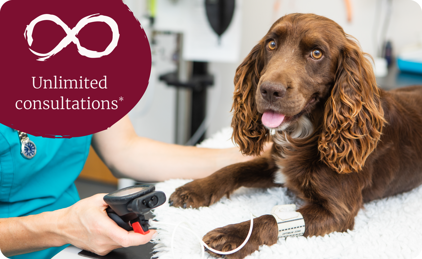 Beech House Vet Clinic