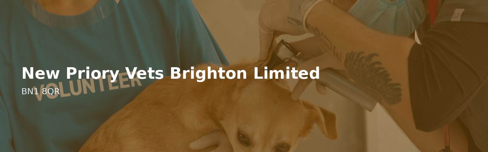 New Priory Vets Brighton Limited