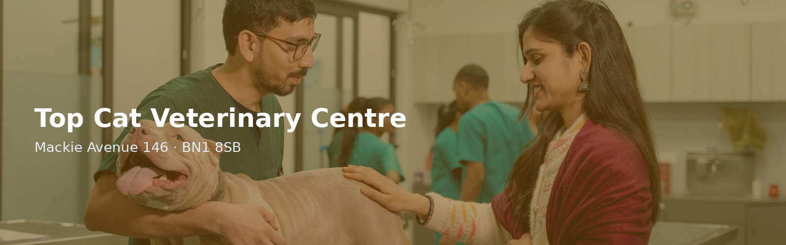 Top Cat Veterinary Centre