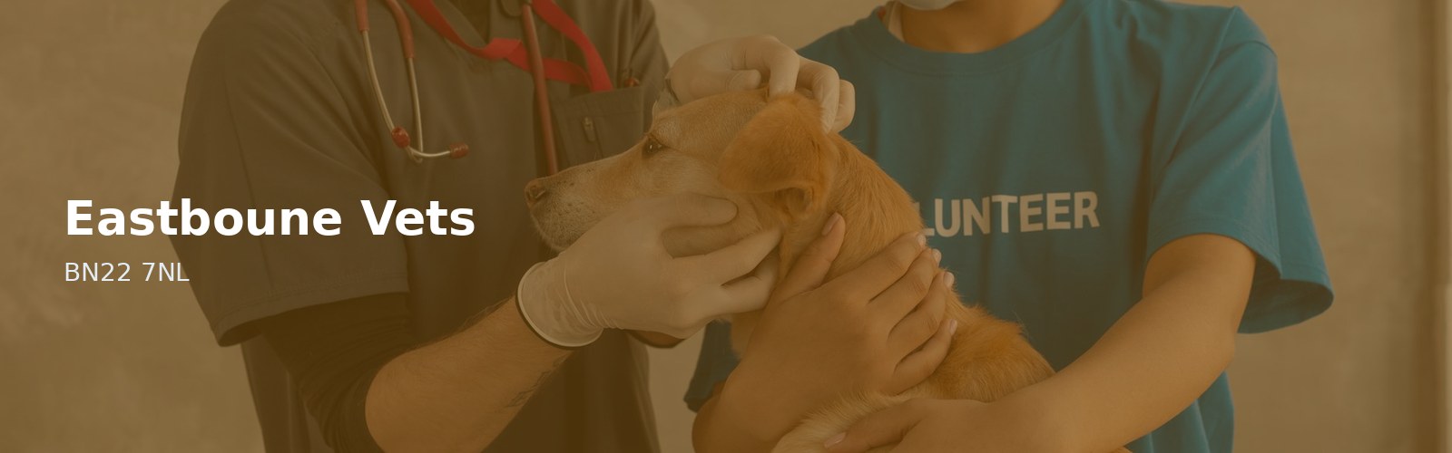 Eastboune Vets