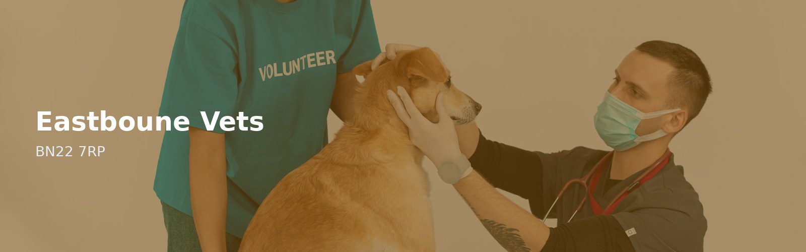Eastboune Vets