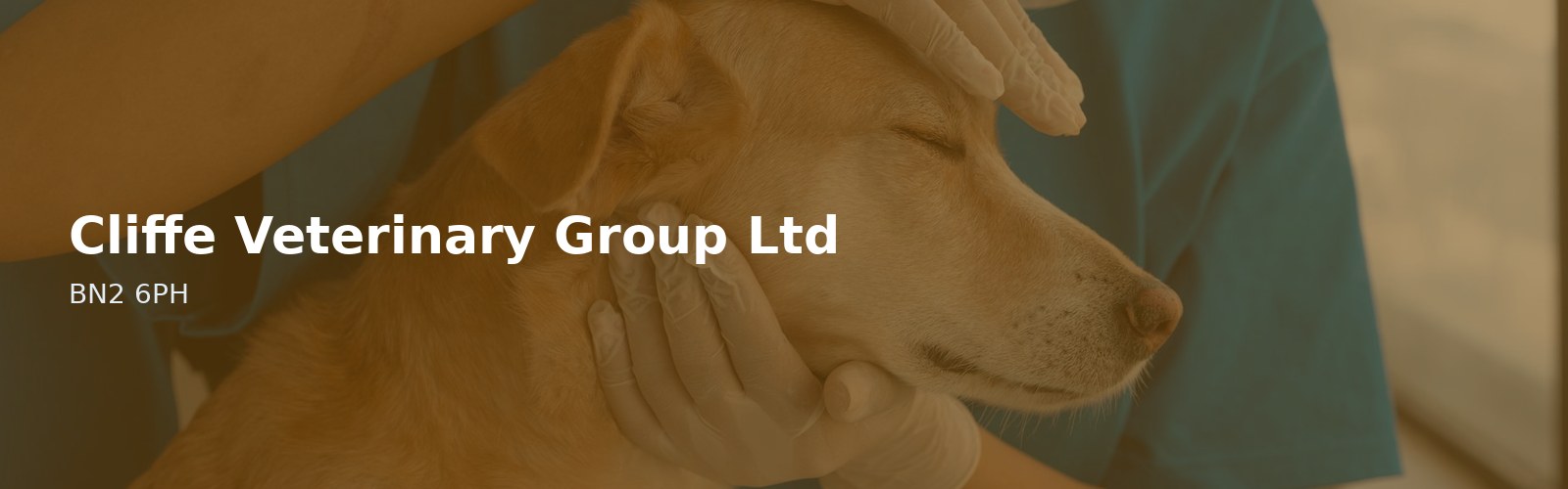 Cliffe Veterinary Group Ltd