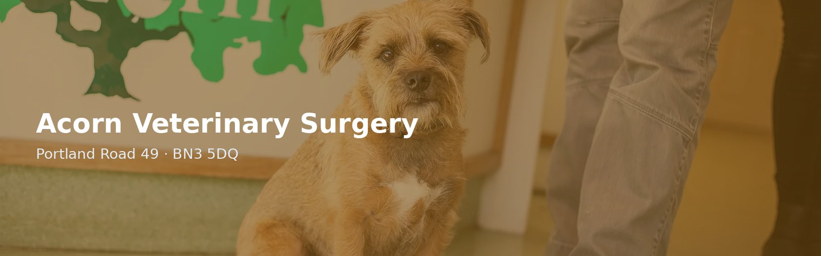 Acorn Veterinary Surgery