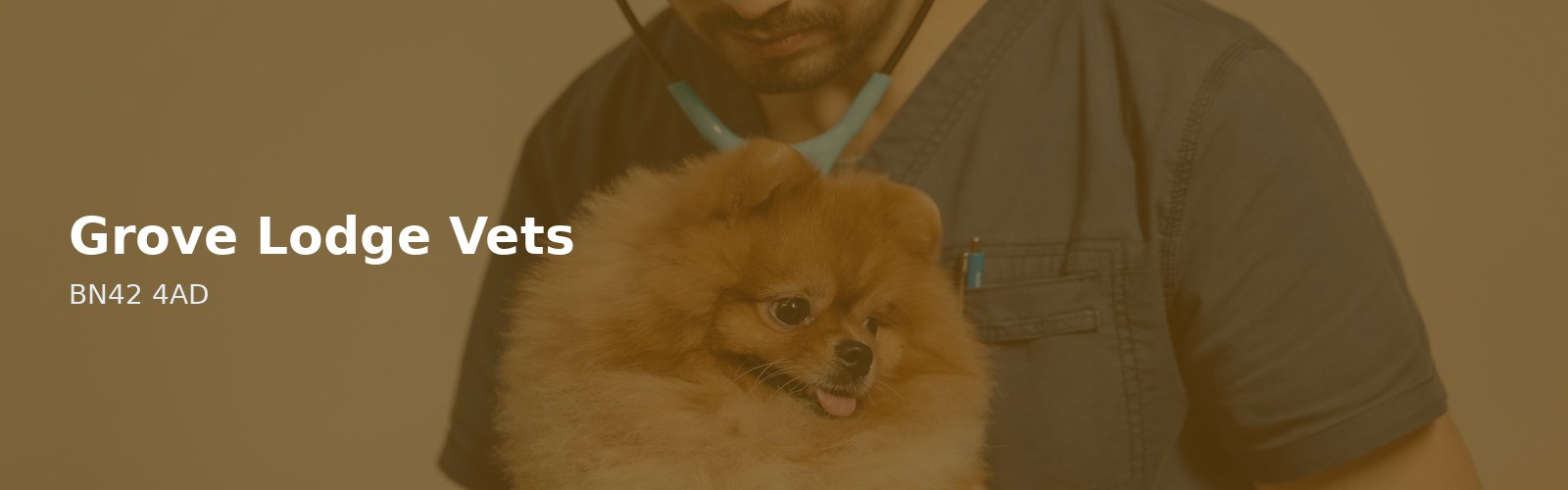 Grove Lodge Vets