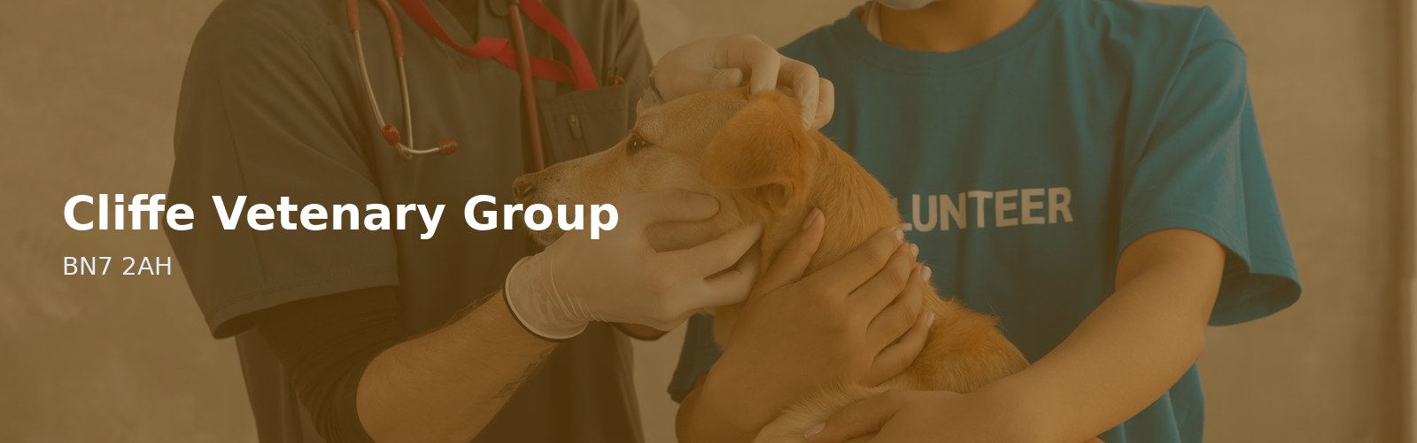 Cliffe Vetenary Group